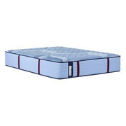 Sonterra Spring Mattress - Furniture City (CA)l