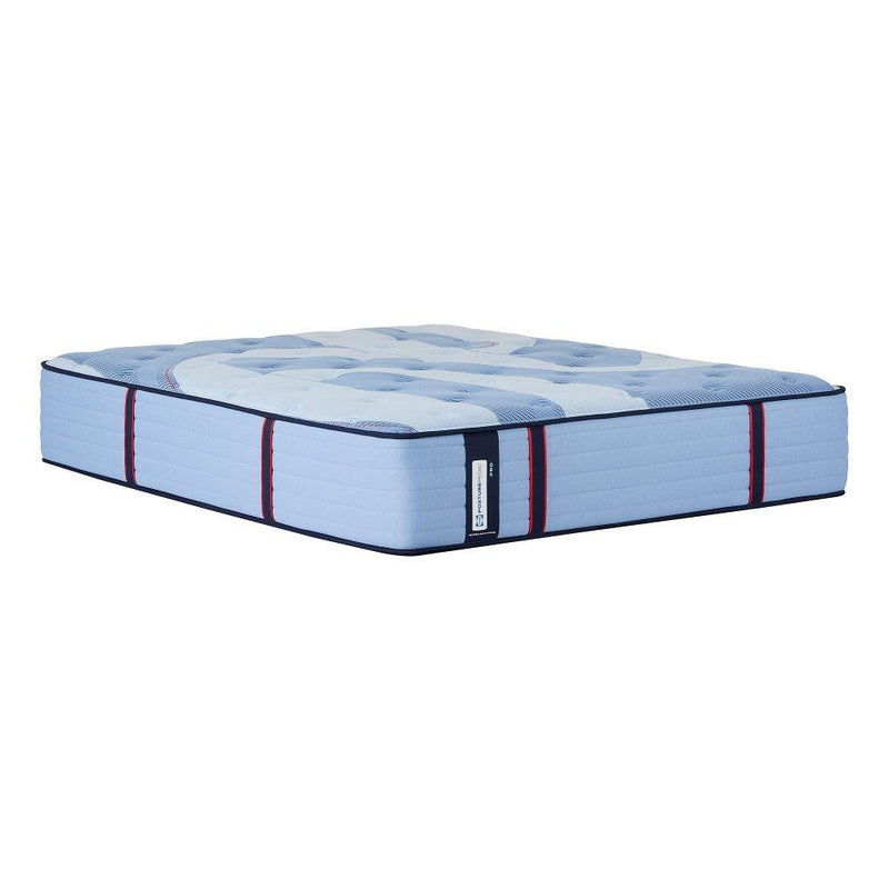 Sulina Spring Mattress - Furniture City (CA)l