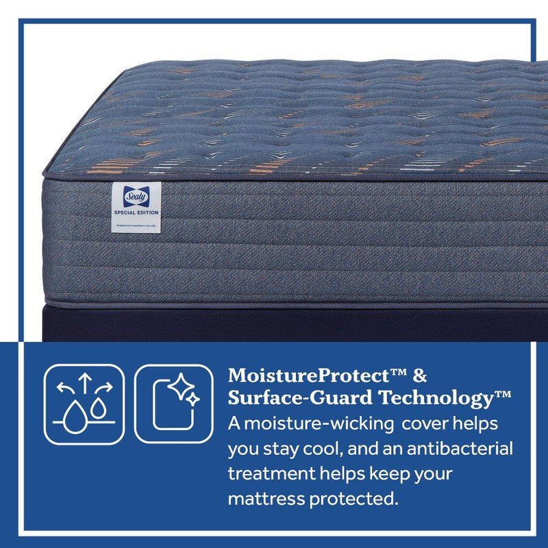 Warner Spring Mattress - Furniture City (CA)l