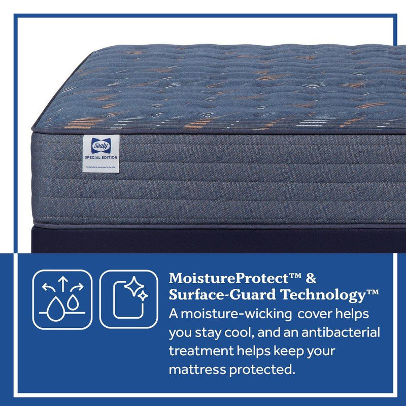 Warner Spring Mattress - Furniture City (CA)l