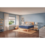 Wild Canyon Foam Mattress - Furniture City (CA)l