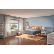 Wild Canyon Hybrid Mattress - Furniture City (CA)l