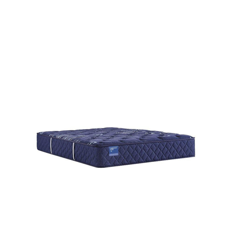 Travelers Rest Innerspring Mattress - Furniture City (CA)l