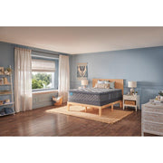 Cathedral Cove Innerspring Mattress - Furniture City (CA)l