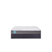Beckley Foam Mattress - Furniture City (CA)l