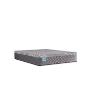 Wild Canyon Hybrid Mattress - Furniture City (CA)l