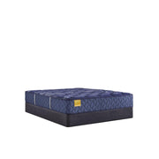 Forsyth Park Innerspring Mattress - Furniture City (CA)l