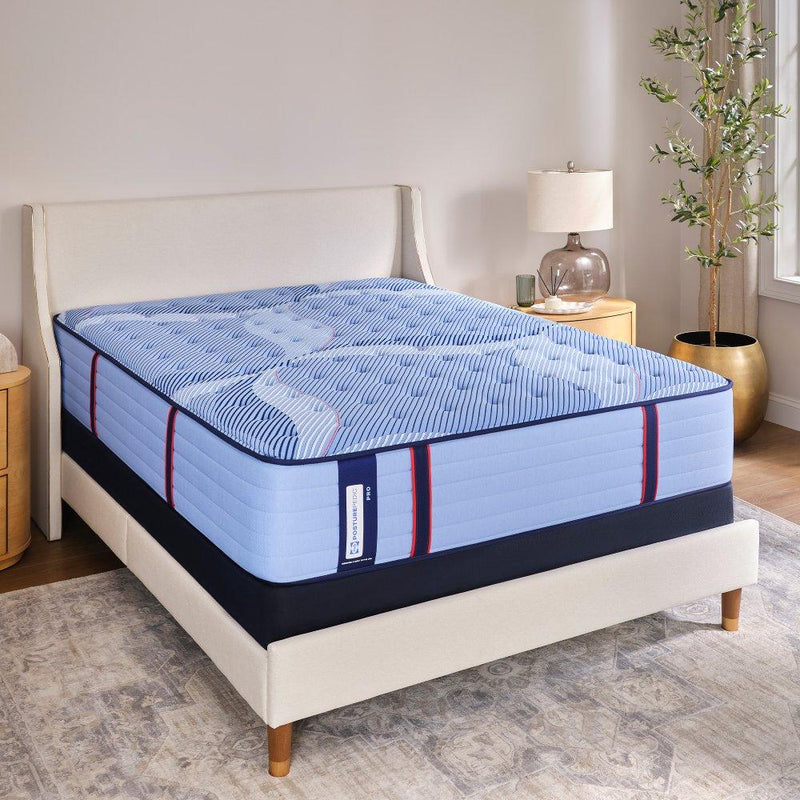 Sonterra Spring Mattress - Furniture City (CA)l