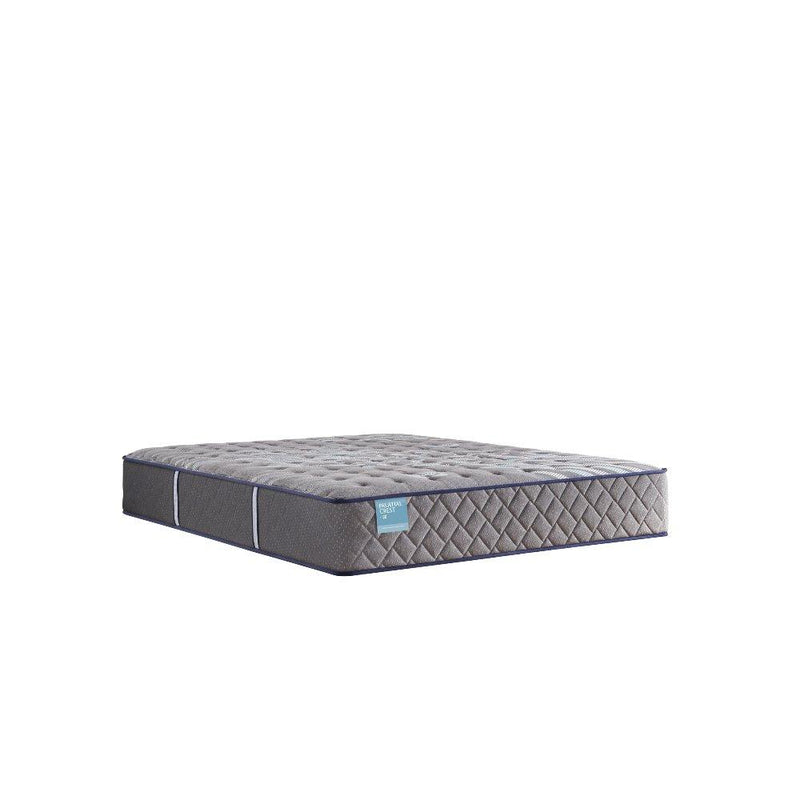 Wild Canyon Innerspring Mattress - Furniture City (CA)l