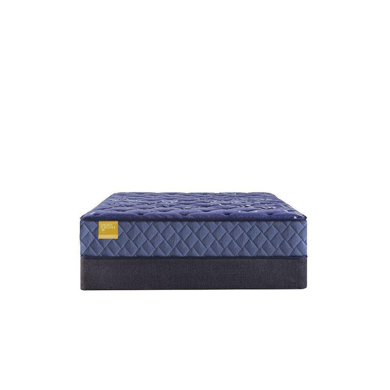 Forsyth Park Innerspring Mattress - Furniture City (CA)l