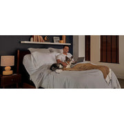 Ease® Adjustable Base - Furniture City (CA)l