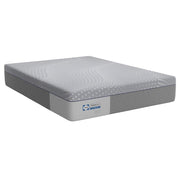 Elsanta Hybrid Mattress - Furniture City (CA)l