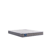 Moon Cove Foam Mattress - Furniture City (CA)l