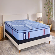 Sonterra Spring Mattress - Furniture City (CA)l