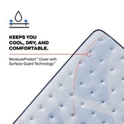 Plainfield Spring Mattress - Furniture City (CA)l