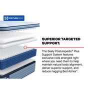 Paterson II Spring Mattress - Furniture City (CA)l