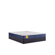 Glacier Park Foam Mattress - Furniture City (CA)l
