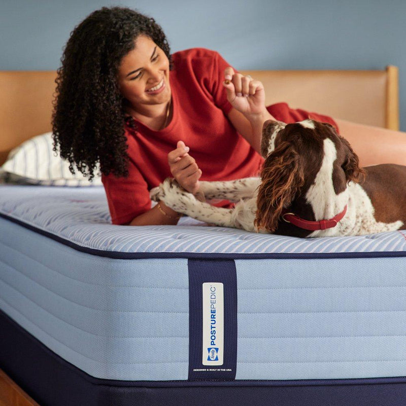 Medina IITight Top Spring Mattress - Furniture City (CA)l