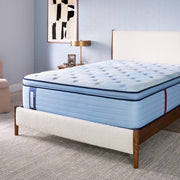 Hartsgrove Spring Mattress - Furniture City (CA)l