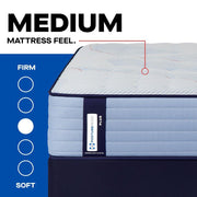 Plainfield Spring Mattress - Furniture City (CA)l