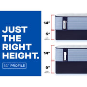 Plainfield Mattress - Furniture City (CA)l