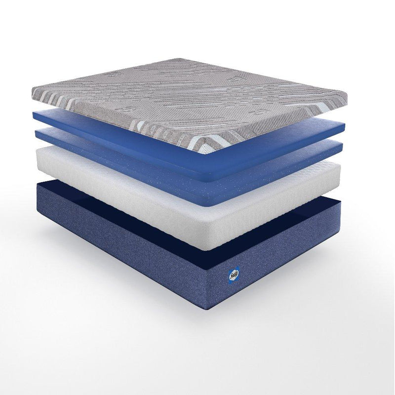 Wild Canyon Foam Mattress - Furniture City (CA)l