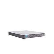 Nori Foam Mattress - Furniture City (CA)l