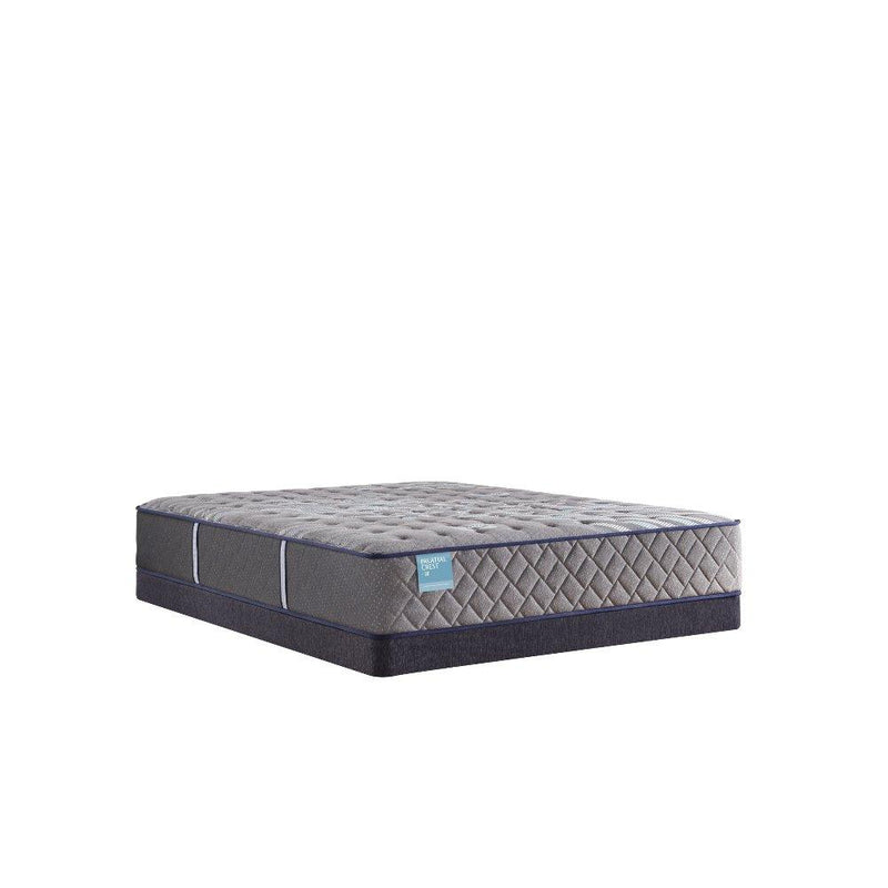 Wild Canyon Innerspring Mattress - Furniture City (CA)l