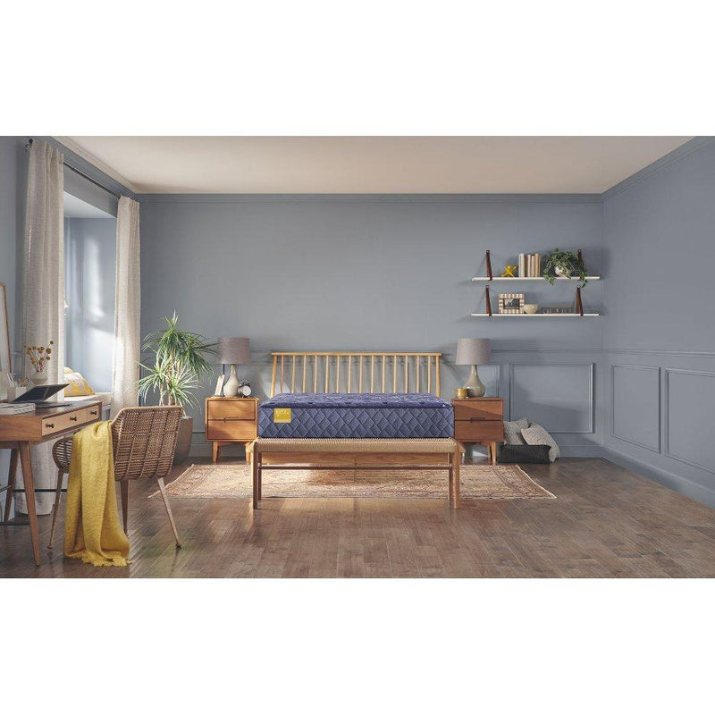Forsyth Park Innerspring Mattress - Furniture City (CA)l