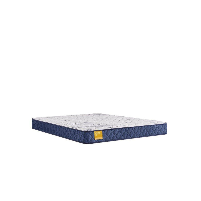 Glacier Park Foam Mattress - Furniture City (CA)l