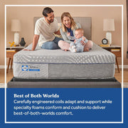 Brightwell Hybrid Mattress - Furniture City (CA)l