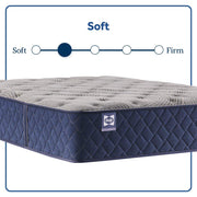 Midnight Bliss Spring Mattress - Furniture City (CA)l