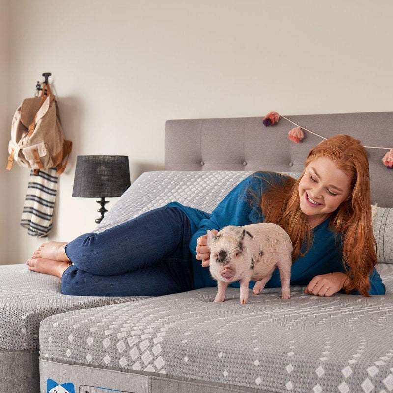 Salinger Hybrid Mattress - Furniture City (CA)l