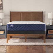 Desert Rose Spring Mattress - Furniture City (CA)l
