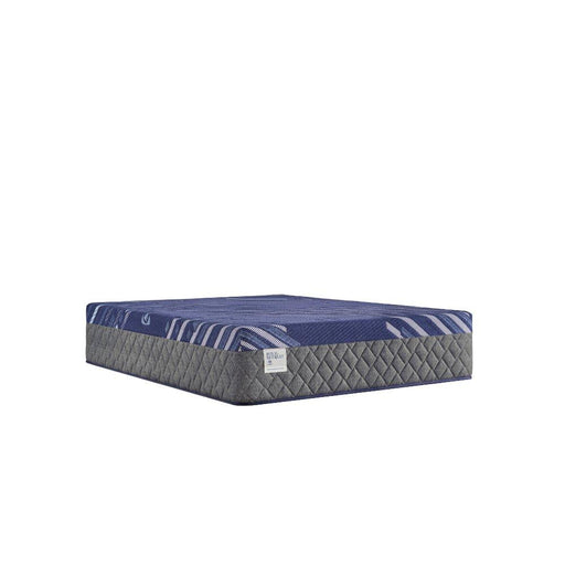 Sealy Westerfield Hybrid Mattress - Furniture City (CA)l