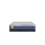 Royal Park Hybrid Mattress - Furniture City (CA)l