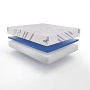 Telford Foam Mattress - Furniture City (CA)l