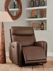 Pincara Power AutoGlide Recliner - Furniture City (CA)l