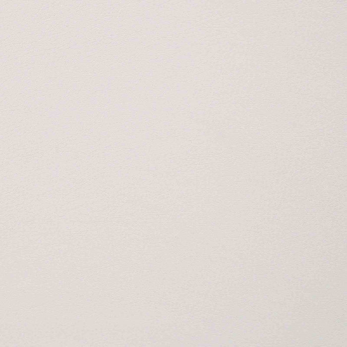 alisha-side-chair-2-ctn-2