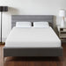 artemisia-10-queen-memory-foam-mattress-roll-in-box-3