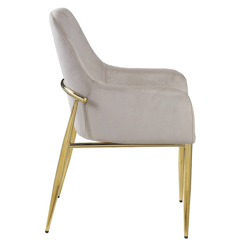 barnard-gray-velvet-mirrored-gold-side-chair-set-2-4