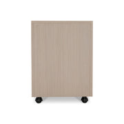 Axiom File Cabinet - Furniture City (CA)l