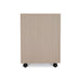 Axiom File Cabinet - Furniture City (CA)l