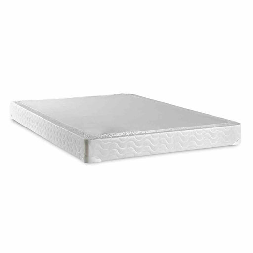 bird-of-paradise-foundation-e-king-1