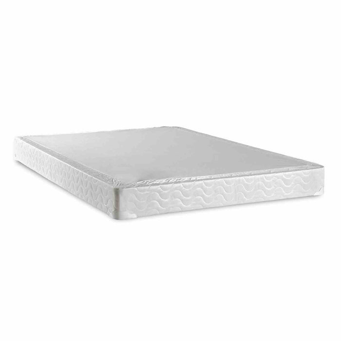 bird-of-paradise-foundation-twin-1