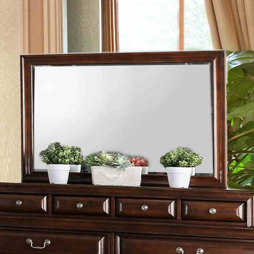 brandt-mirror-brown-cherry-1