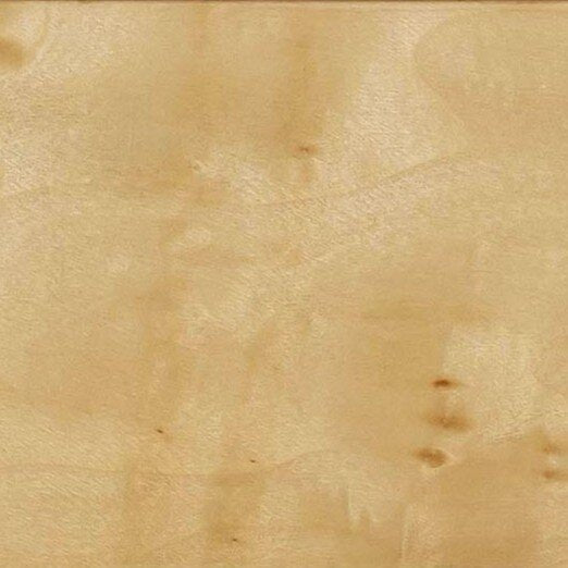 brandyss-natural-burl-nightstand-10