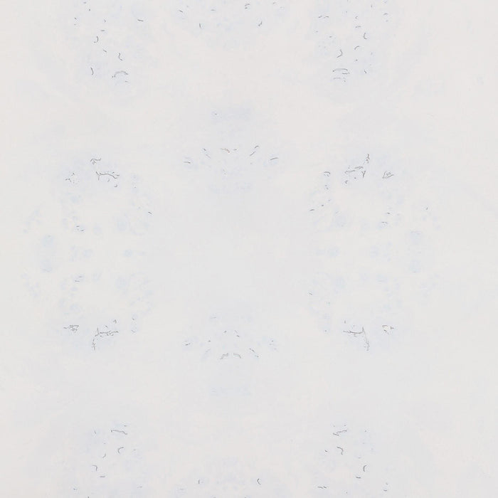 brandyss-white-burl-nightstand-10