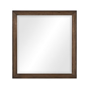 brevard-mirror-2
