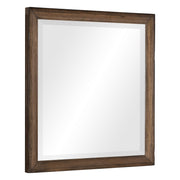 brevard-mirror-5
